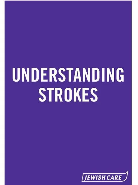 Understanding Strokes report