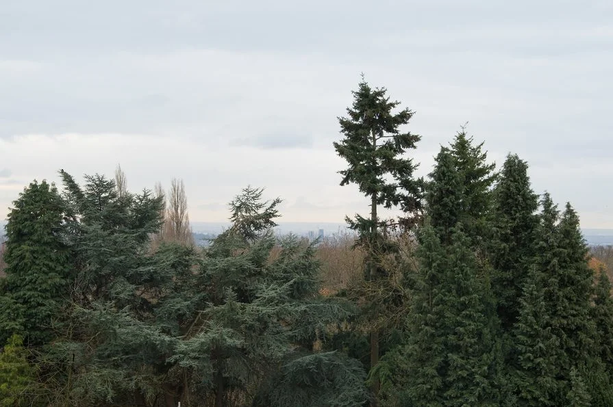 ADH view