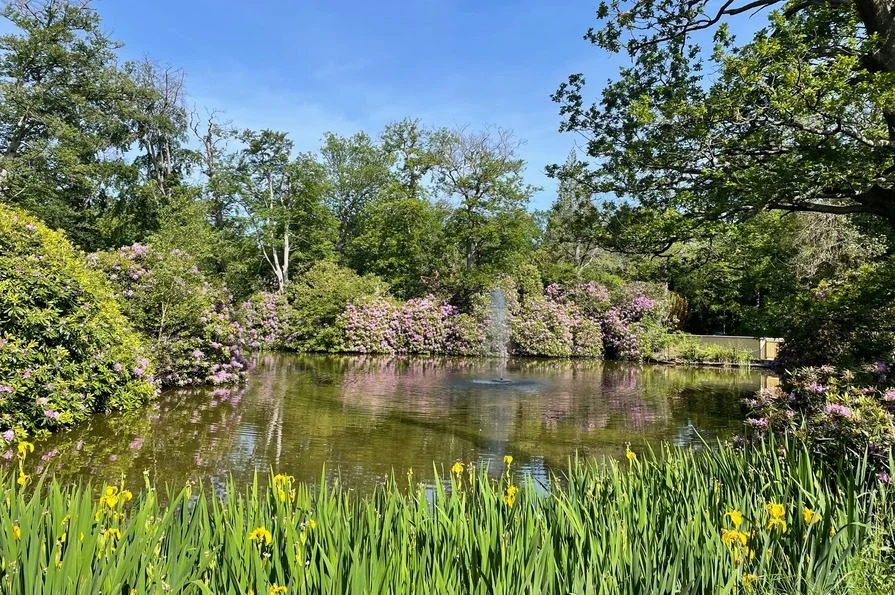 Sandringham pond