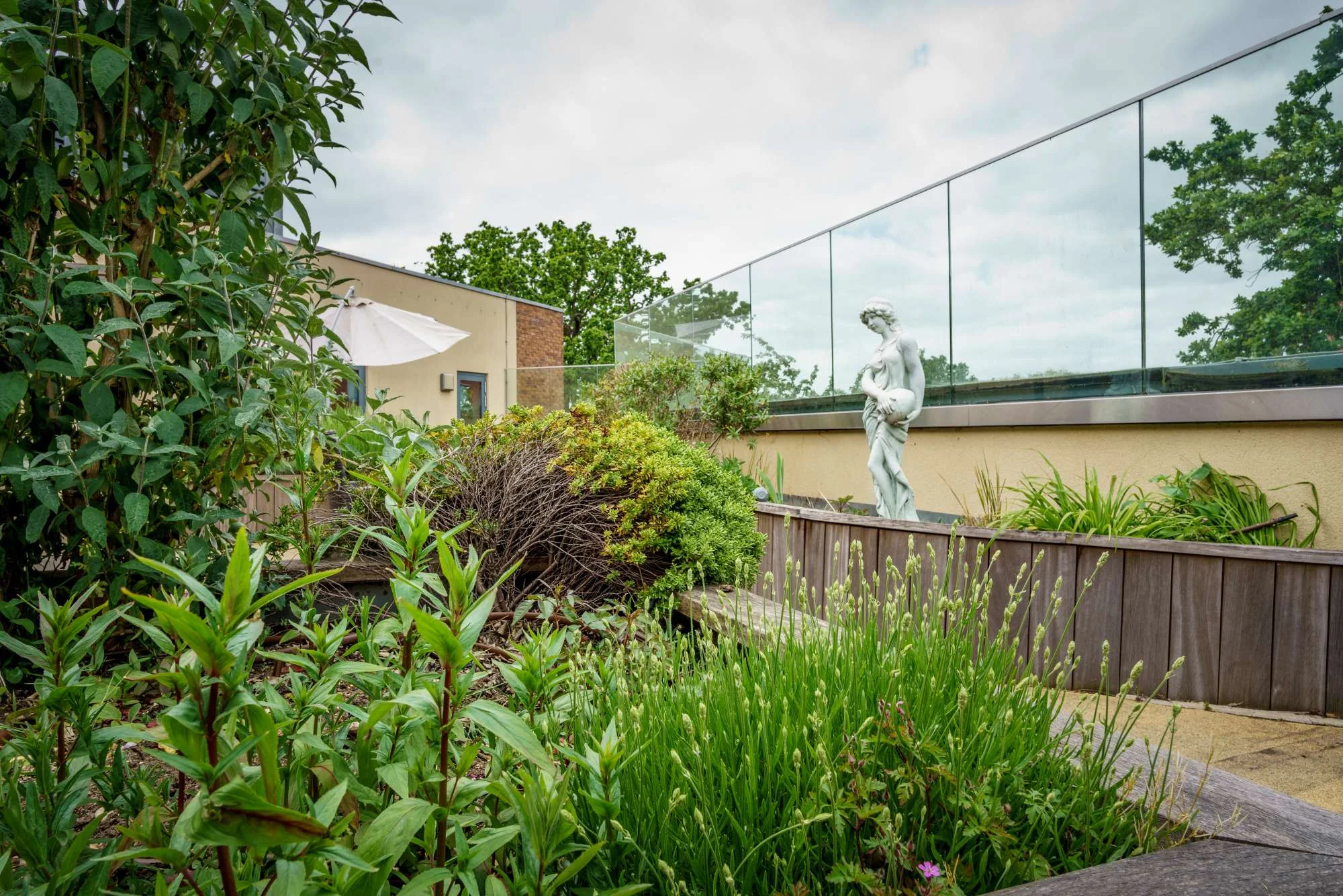An outdoor terrace full of plants and a small statue